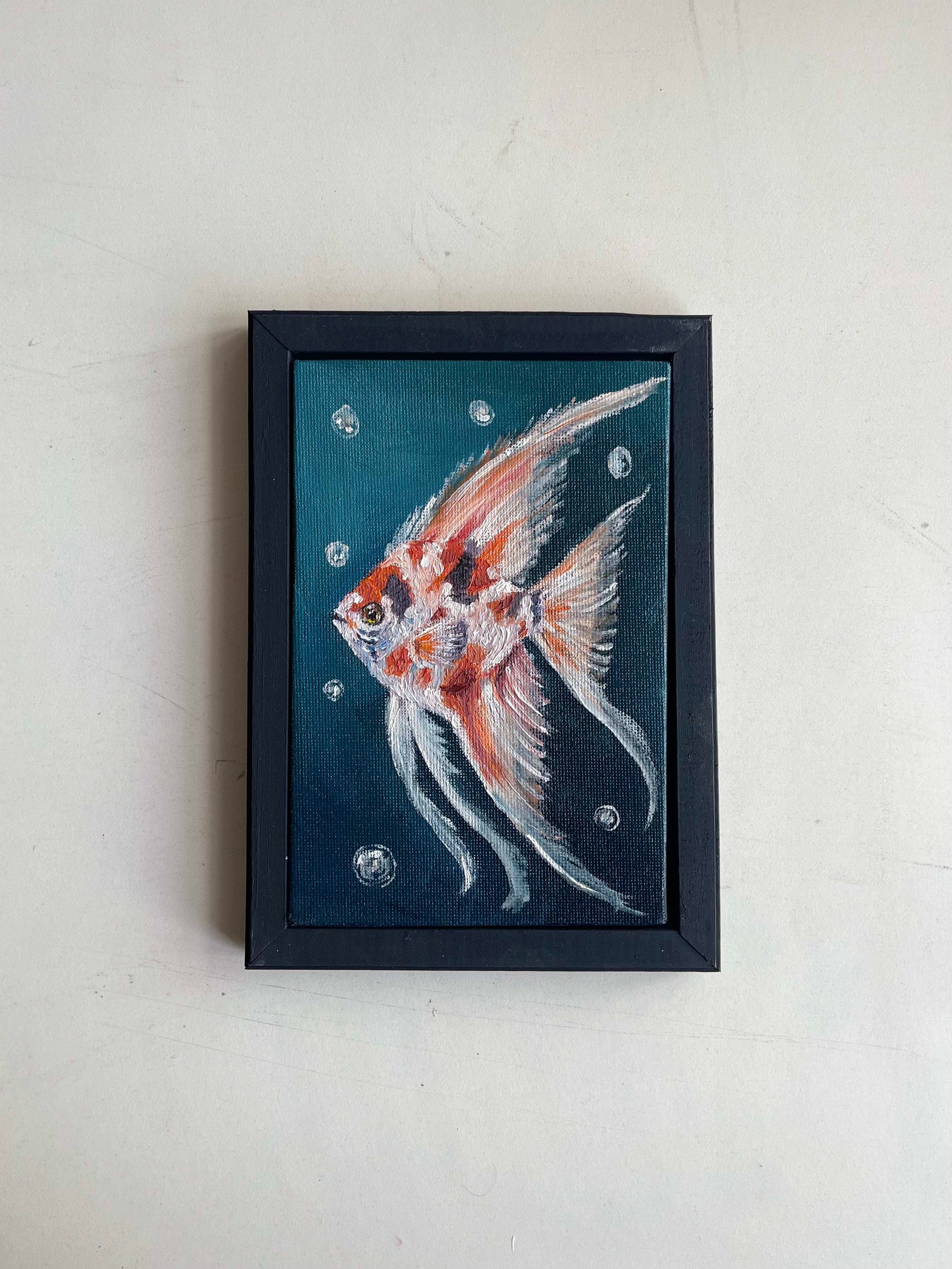 Angelfish - Mini Sea Collection No.10/10